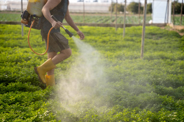 Wildlife Control Services in Mather, CA